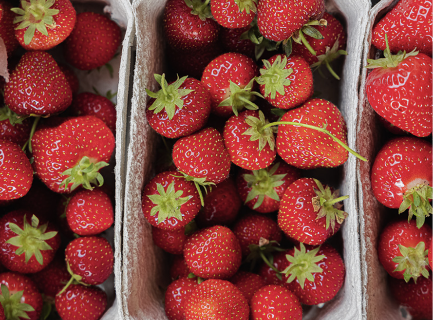 Fresh Strawberries